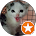 Tom